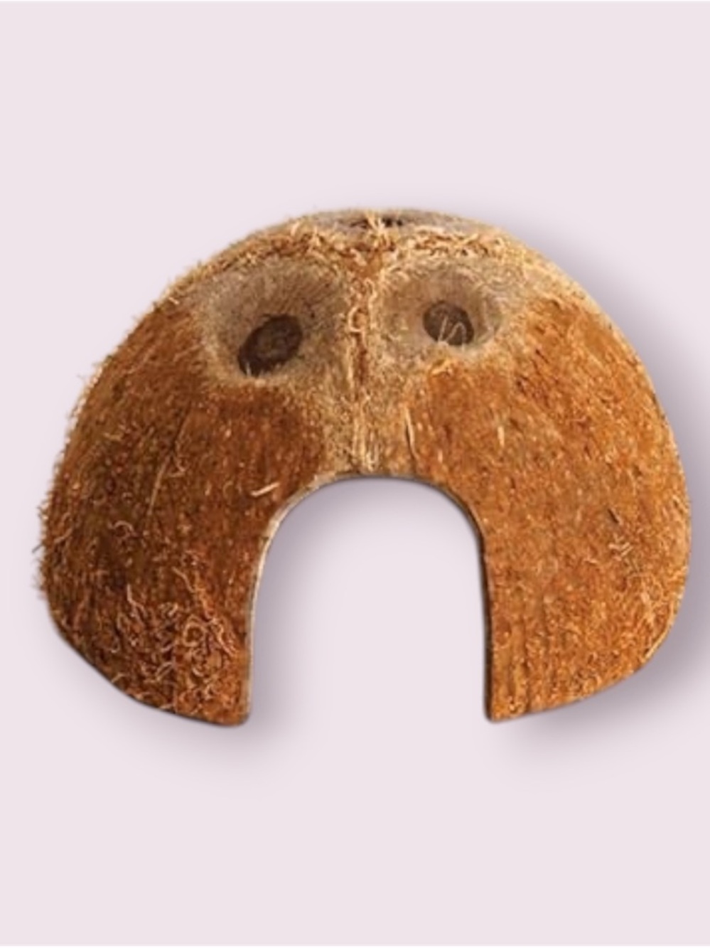 Coconut Hut